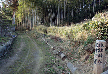 25.豊田ほたる街道