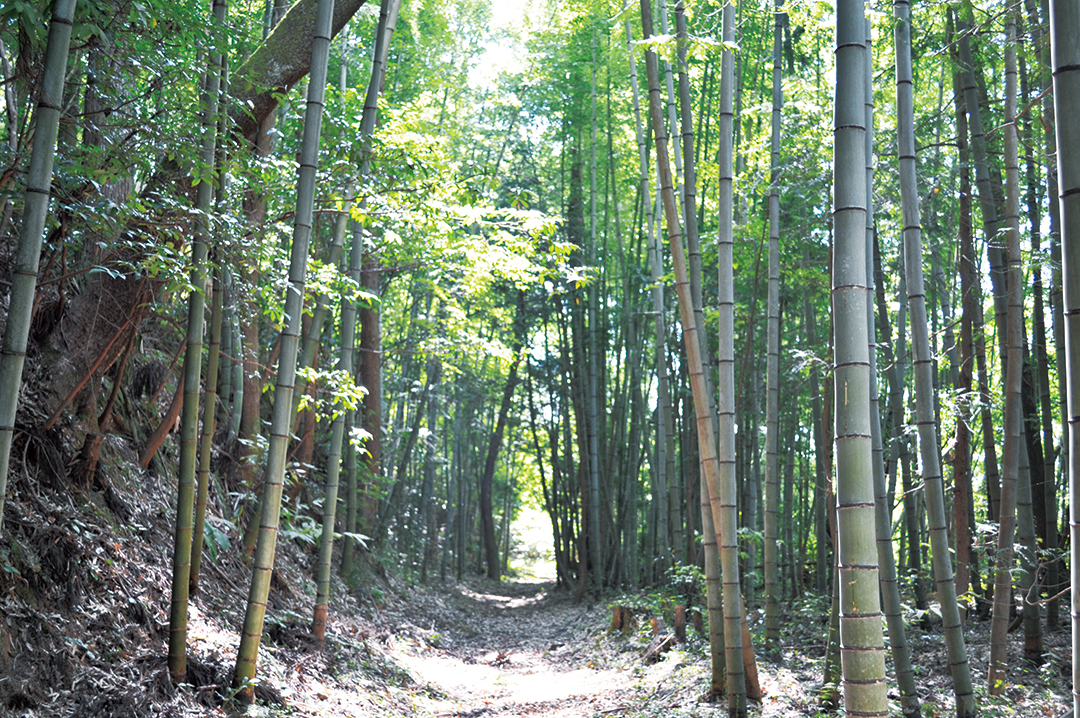 美郷町石見銀山街道