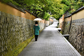 【作品名】「静寂」 撮影者:齋藤 暁 様 夢街道ルネサンス認定地区名:城下町長府夢街道(山口県下関市長府)