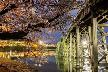 【作品名】春色につつまれて 撮影者:守谷 勉 様 夢街道ルネサンス認定地区名:岩国往来(山口県岩国市横山)