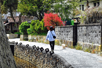 【作品名】鼻ぐり石の径 撮影者:藤原 博文 様 夢街道ルネサンス認定地区名:天領江津本町甍街道(島根県江津市江津町)