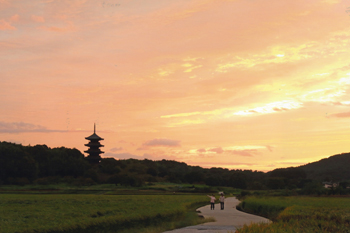 【作品名】塔へ続く道 撮影者:河口 毅 様 夢街道ルネサンス認定地区名:吉備野みちくさ小道(岡山県総社市上林)
