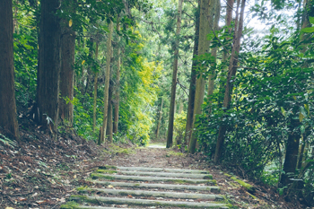 【作品名】萩往還の道中 撮影者:髙橋 正幹 様 夢街道ルネサンス認定地区名:萩往還(山口県萩市)